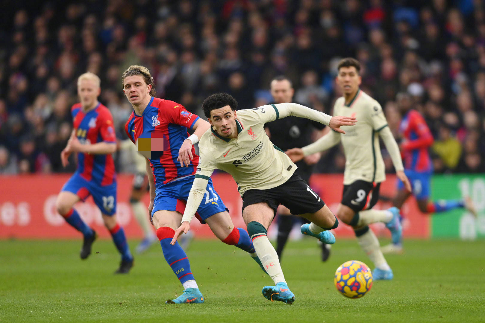 每支球队都 每支球队都